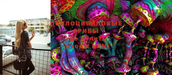 PSILOCYBIN Лагань