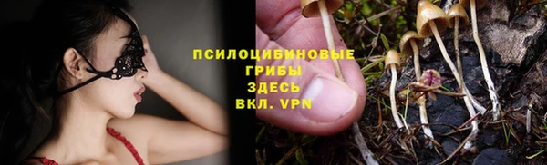 а пвп мука Кукмор