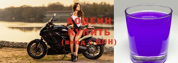 Альфа ПВП Ладушкин