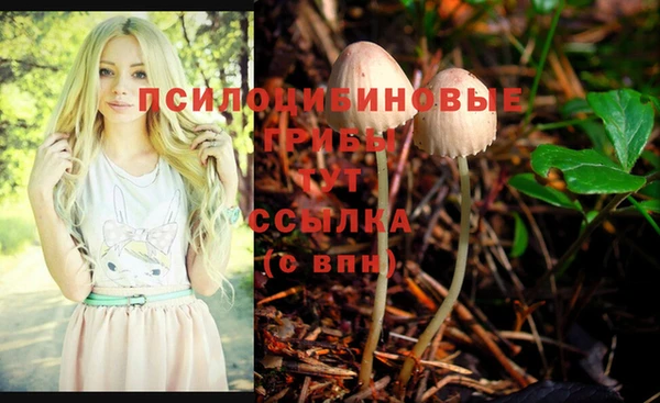 а пвп мука Кукмор